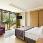 50196_guest_room_1
